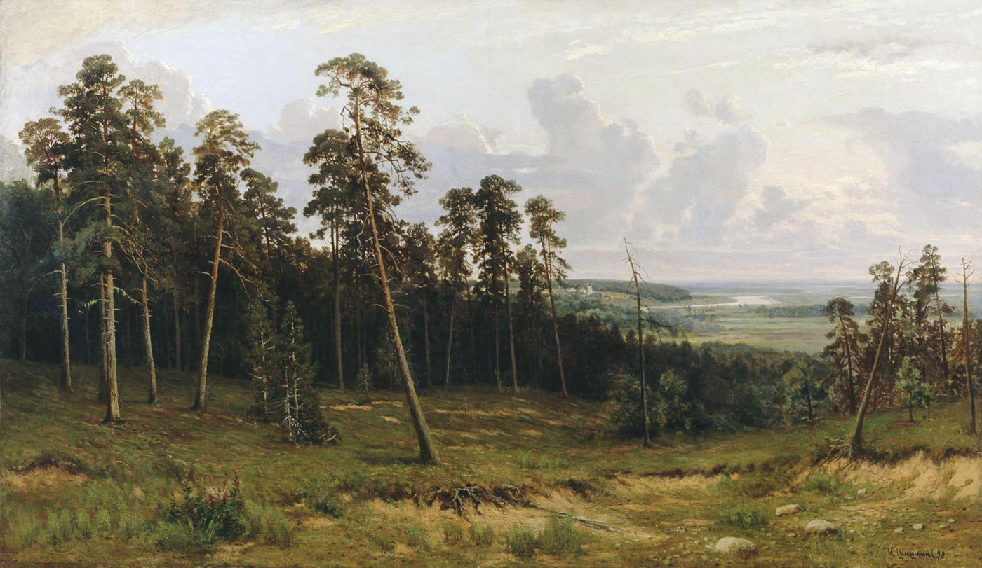 forest edge